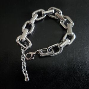 Silver Link Chain Bracelet (NWOT)